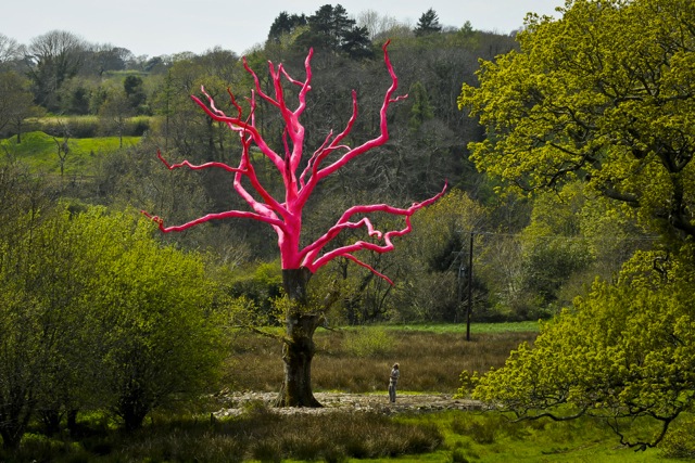 Henry Bruce - painted pink tree